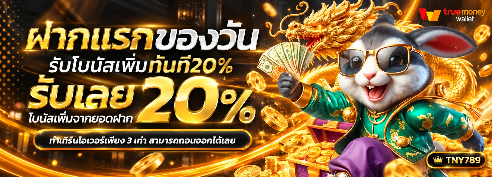tny789 banner